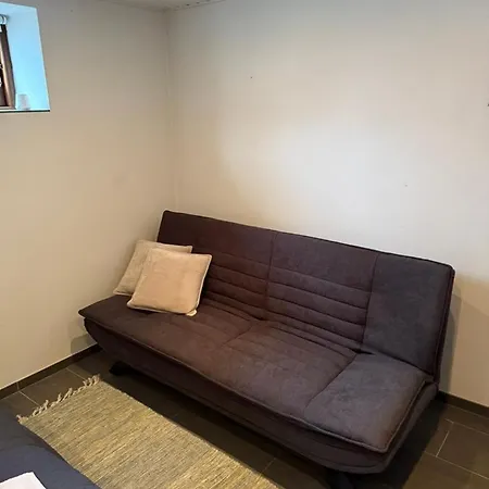 Homestay Vaerelse Med 2 Senge Og Sovesofa